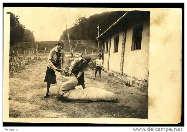 AK, Boy Scout, , Old Postcard, HUNGARY, Photo - Scoutismo