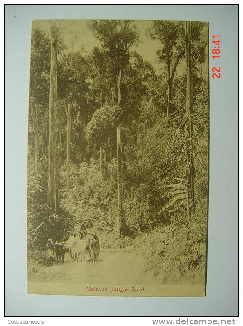 287 MALAISIA MALASYA STRAITS SETTLEMENTS MALAYAN JUNGLE ROAD    YEARS  1910  OTHERS IN MY STORE - Malesia