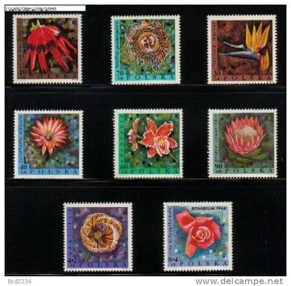 POLAND 1968 FLOWERS NHM Plants Abutilon Passiflora Strelitzia Protea Caryphanta Odontonia Clianthus Rosa Roses - Neufs