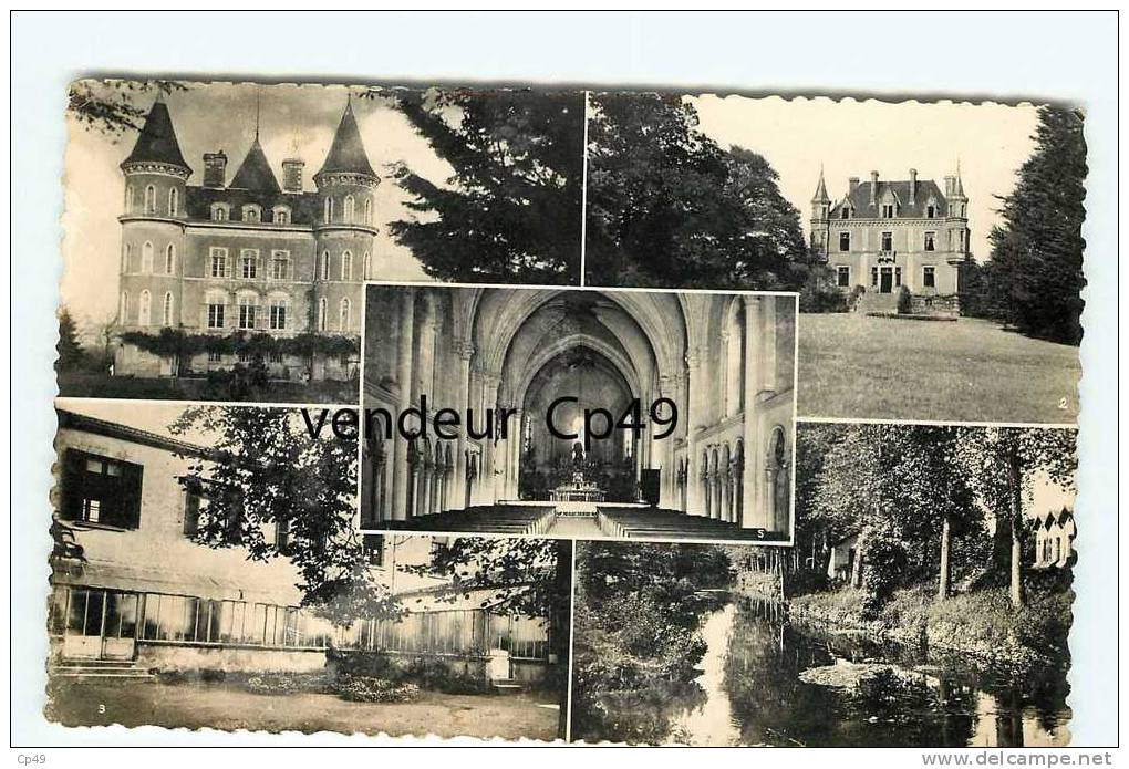 Br - 49 - MONTFAUCON SUR MOINE - Vues Diverses Du Village - - Montfaucon