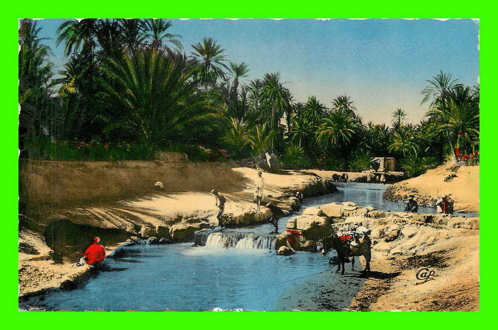 ORAN, ALGÉRIE - BARRAGE SUR L´OUED - ANIMÉE - - Oran