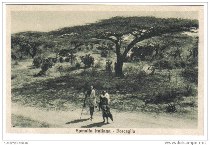 SOMALIA ITALIANA BOSCAGLIA NON VIAGGIATA COD.C.871 - Somalie