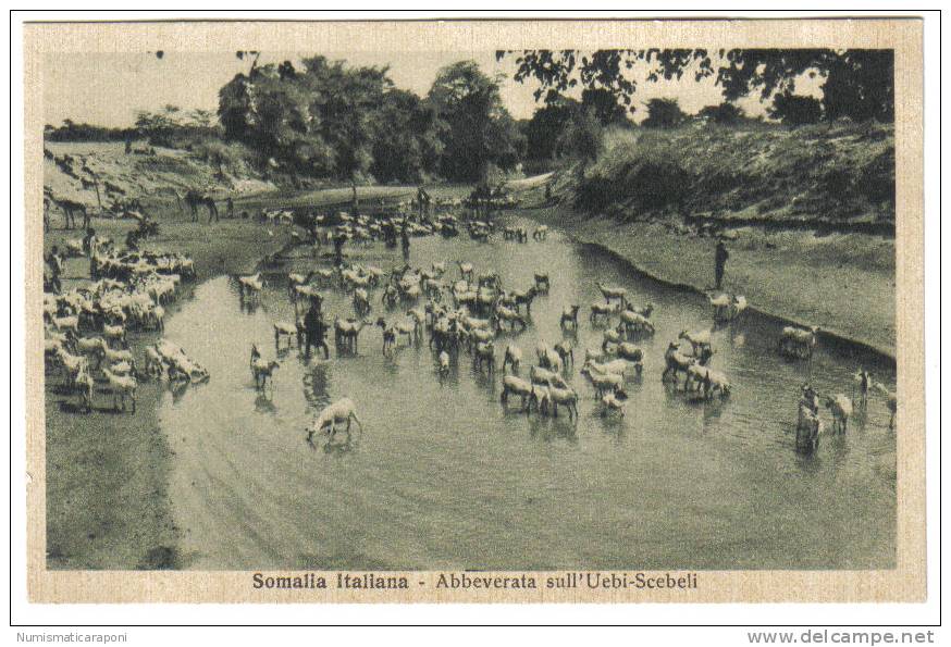 SOMALIA ITALIANA ABBEVERATA SULL'UEBI SCEBELI NON VIAGGIATA COD.C.876 - Somalia