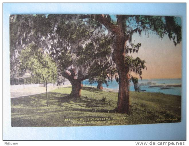 Beaufort Sc--  Bluff Look East Hand Colored - Other & Unclassified