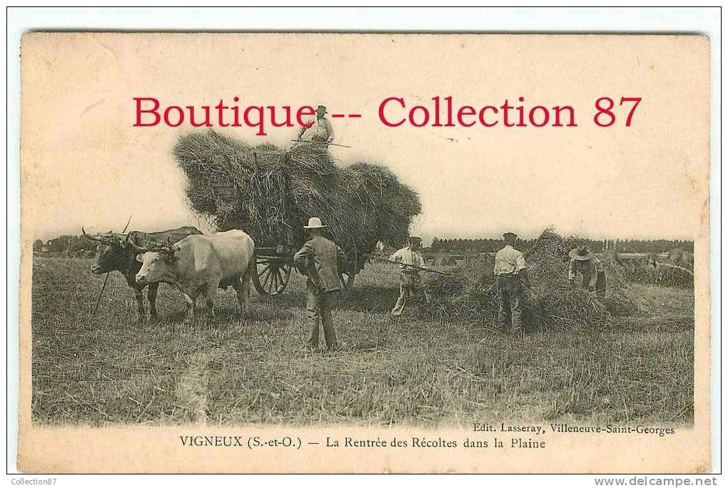 91- VIGNEUX - AGRICULTURE - RENTREE Des RECOLTES De FOINS - ATTELAGE De BOEUFS - DOS VISIBLE - Vigneux Sur Seine
