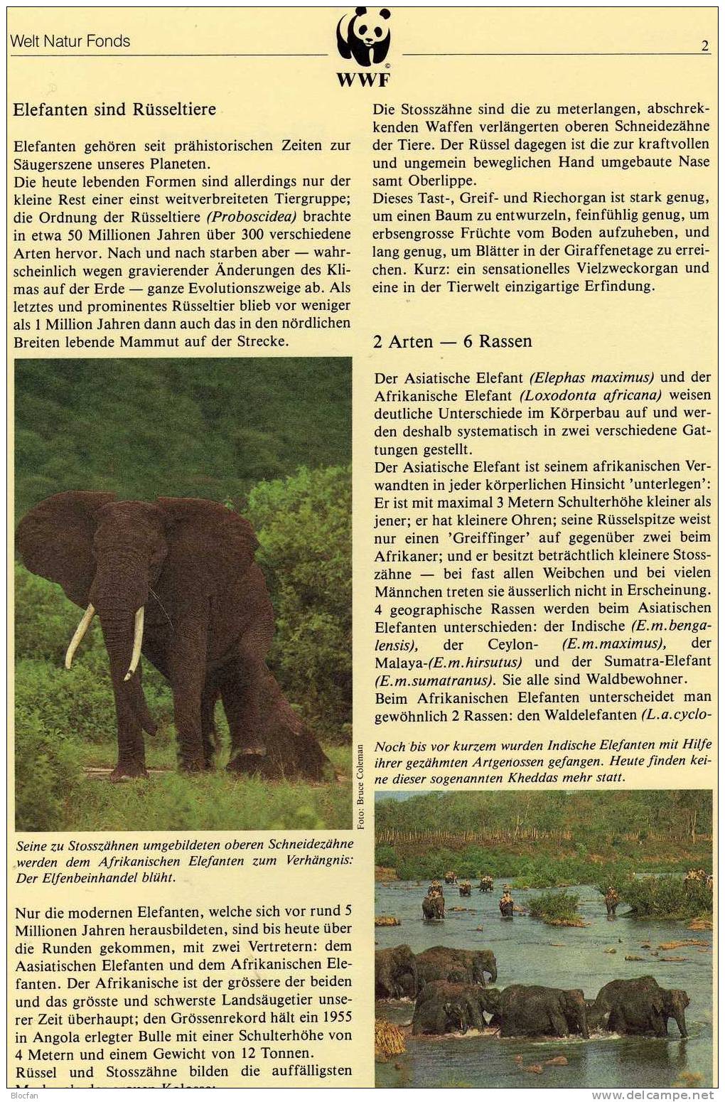 Documentation 1983 Naturschutz 1.WWF-Set 4 Uganda 361/4 ** 19€ Elefanten Tierschutz Fauna Olifanten Stamps Of Africa - Elefanten
