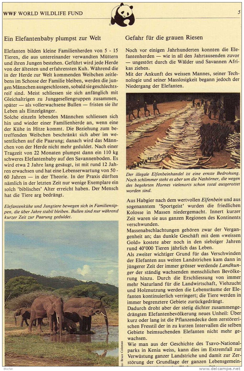 Documentation 1983 Naturschutz 1.WWF-Set 4 Uganda 361/4 ** 19€ Elefanten Tierschutz Fauna Olifanten Stamps Of Africa - Elefanten