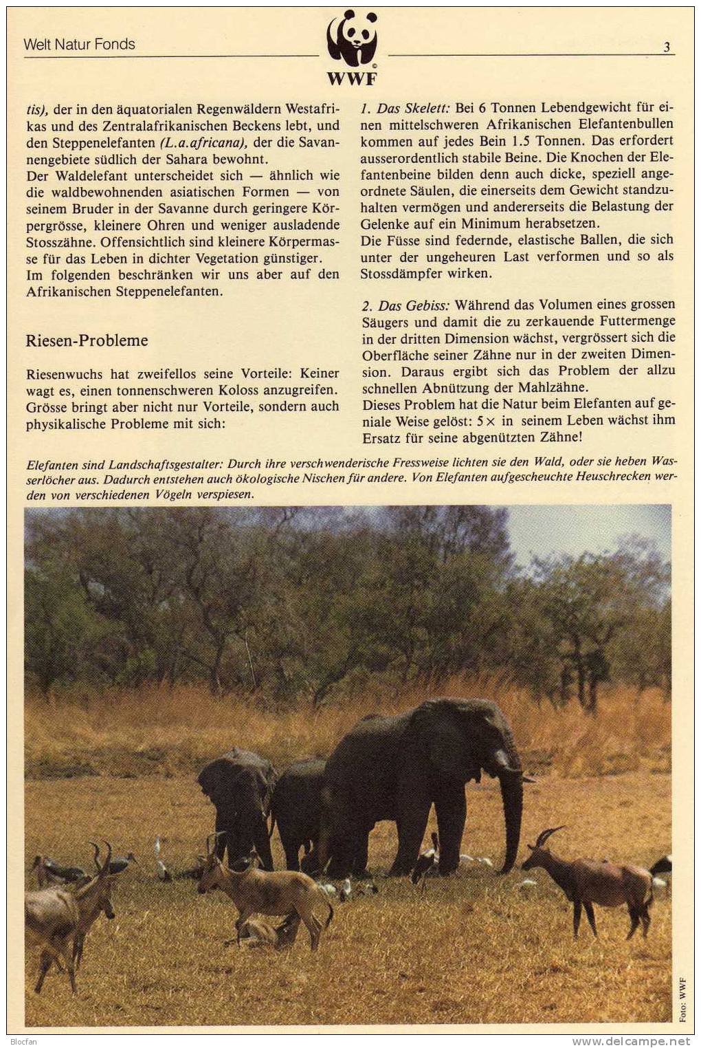 Set 4 WWF Uganda 361/4 **/o/4FDC+4MKt.78€ Elefanten Mit Naturschutz-Dokumentation 1983 Loxodonta Africana Sets Bf Africa - Uganda (1962-...)