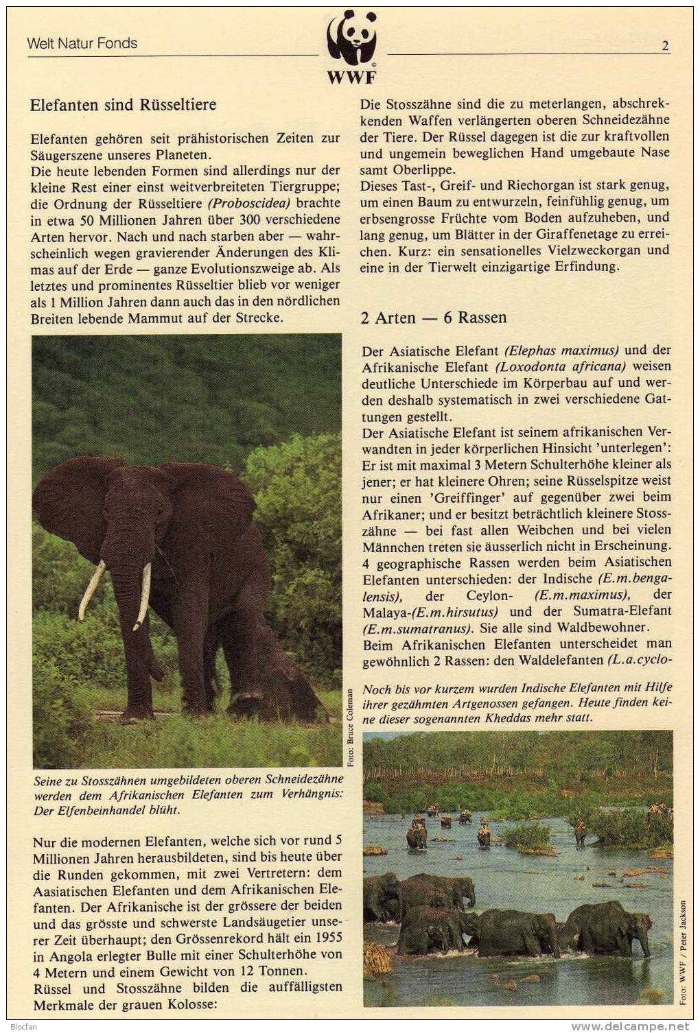 Set 4 WWF Uganda 361/4 **/o/4FDC+4MKt.78€ Elefanten mit Naturschutz-Dokumentation 1983 loxodonta africana sets bf Africa