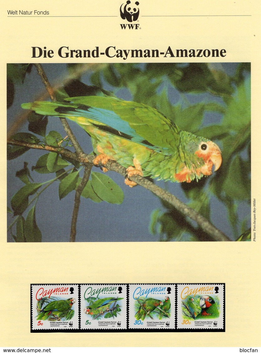 WWF-Set 166 Cayman Island 690/3 ** 9€ Amazonen-Papagei Naturschutz 1993 Dokumentation Wildlife Birds Set Of Caribic - Caimán (Islas)