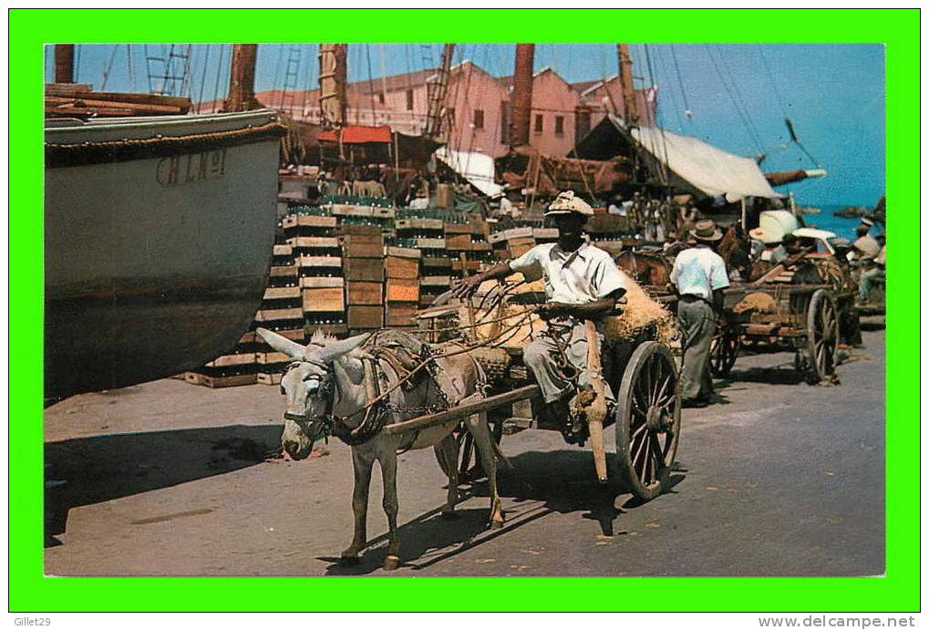 BARBADOS, WEST INDIES - DONKEY & HORSE DRAWN CARTS - ANIMATED - - Barbades