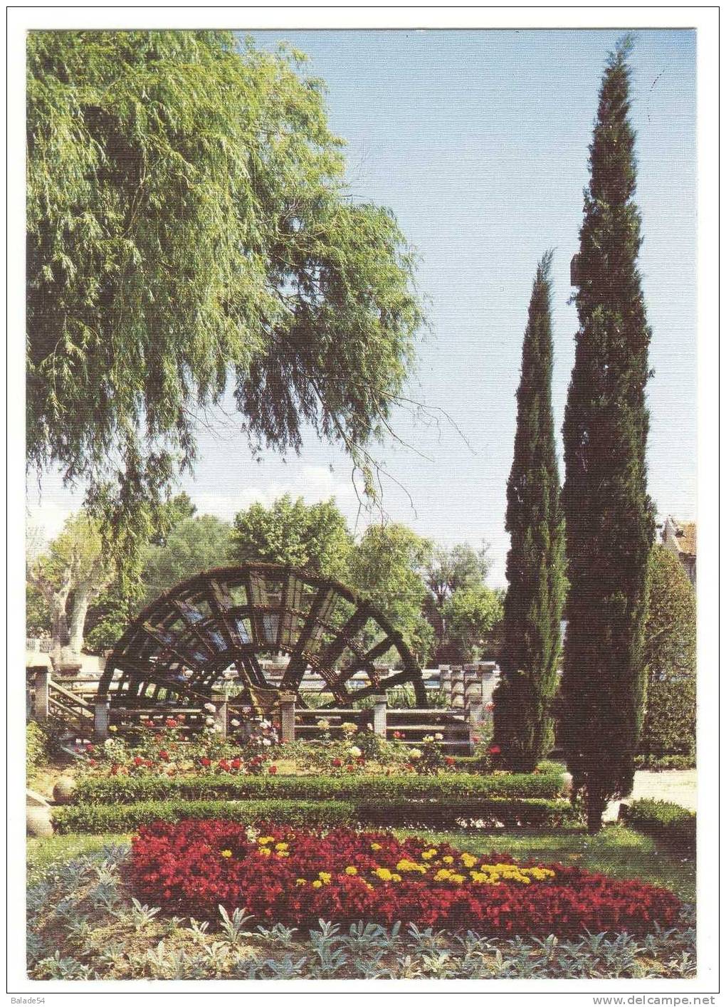 CPM - ISLE SUR LA SORGUE (84) "la Venise Comtadine" Roue à Aubes Dans Le Jardin Public - L'Isle Sur Sorgue