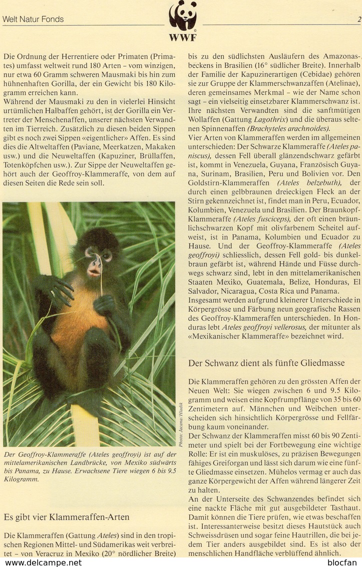 Klammer-Affen 1990 Honduras 1084/7 O 4€ Naturschutz Affen WWF-Set 91 Documentation Wildlife Geoffrey-monkey AMERICA - Gebruikt