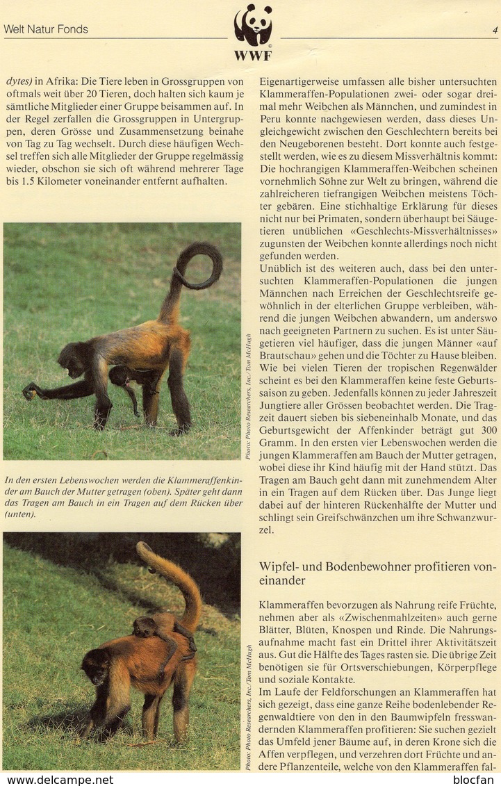 Klammer-Affen 1990 Honduras 1084/7 O 4€ Naturschutz Affen WWF-Set 91 Documentation Wildlife Geoffrey-monkey AMERICA - Oblitérés