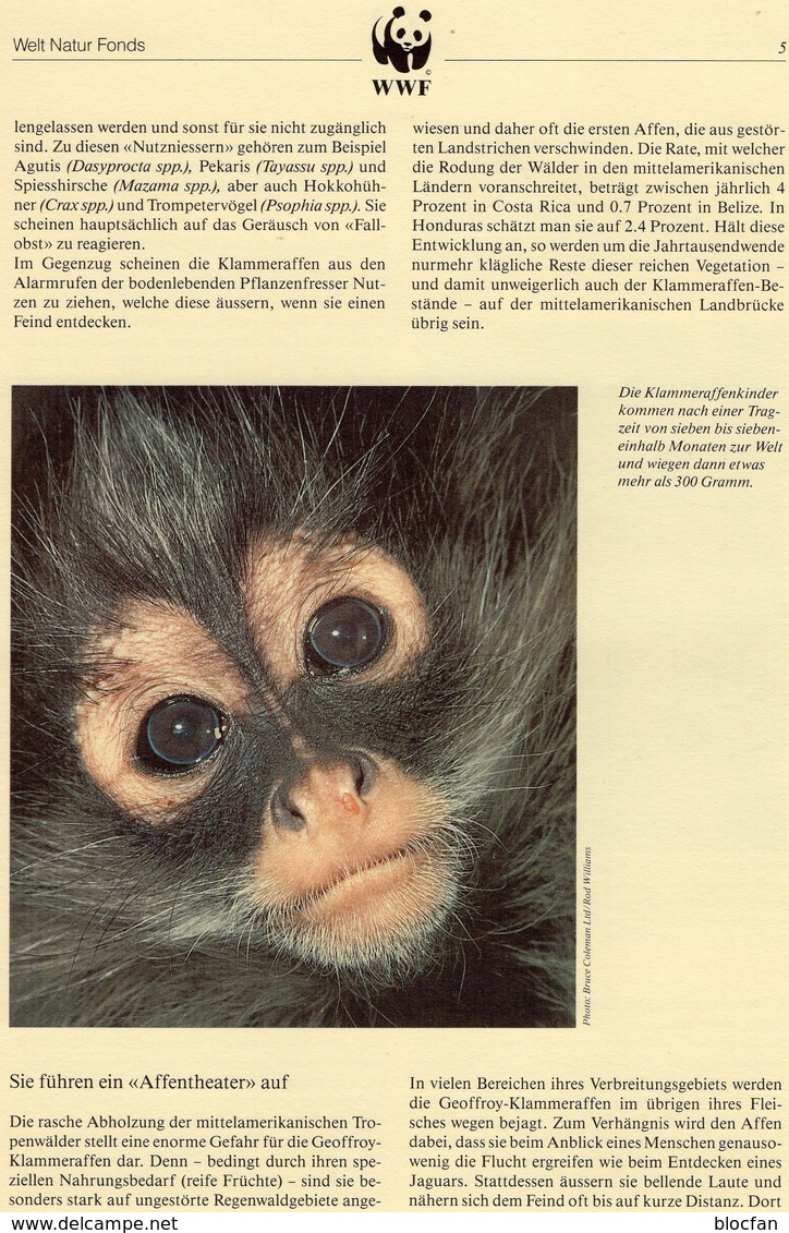 Klammer-Affen 1990 Honduras 1084/7 O 4€ Naturschutz Affen WWF-Set 91 Documentation Wildlife Geoffrey-monkey AMERICA - Used Stamps