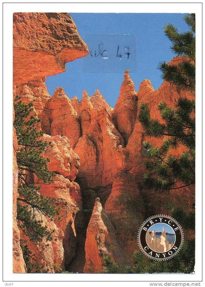 - BRYCE CANYON NATIONAL PARK, UTAH - Peekaboo Loop Trail - Timbre - Scan Verso - - Bryce Canyon