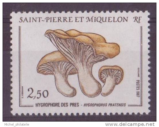 SAINT-PIERRE-ET-MIQUELON N° 475**  NEUF SANS CHARNIERE  FLORE CHAMPIGNON - Autres & Non Classés