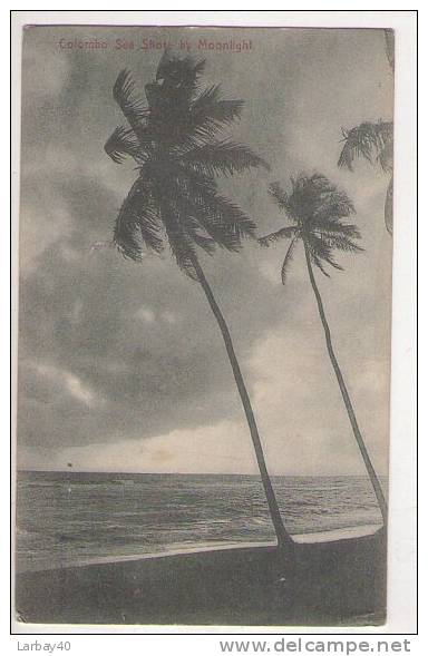 1 Cpa Colombo Sea Shore By Moonlight - Autres & Non Classés