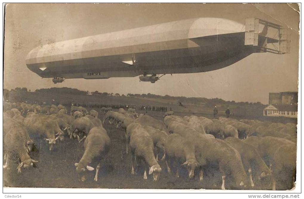 FRIEDRICHSHAFEN   DIRIGEABLE AU DESSUS DES MOUTONS 1911  CARTE PHOTO - Friedrichshafen