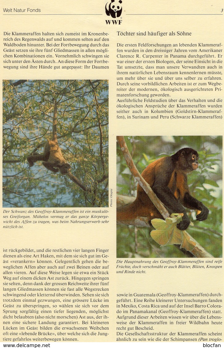 WWF 91 Honduras 1084/7 FDC 12€ Klammer-Affen 1990 Naturschutz Documentation Wildlife Geoffrey Monkey Covers AMERICA - Singes