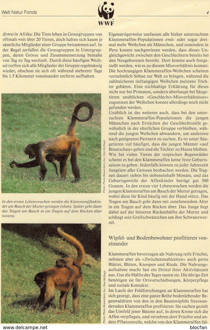 WWF 91 Honduras 1084/7 FDC 12€ Klammer-Affen 1990 Naturschutz Documentation Wildlife Geoffrey Monkey Covers AMERICA - Singes