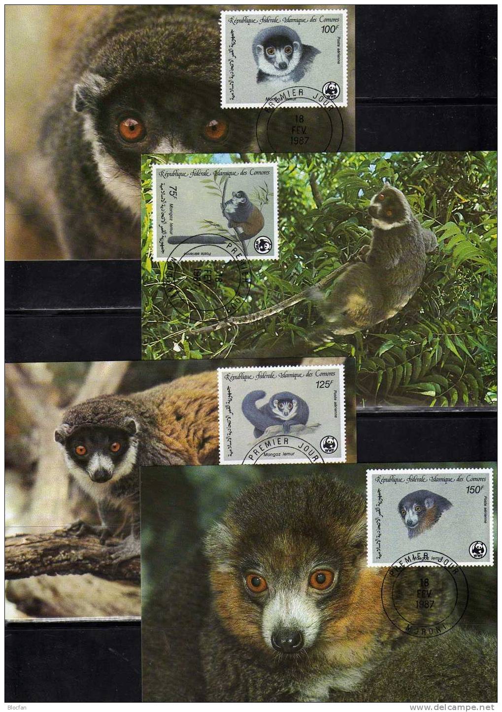 Dokumentation 1987 WWF-Set 48 Comoren 792/5 **,4 FDC+MKt. 46€ Mongozmaki-Lemur Naturschutz Wildlife Covers Cards COMORES - Verzamelingen (in Albums)