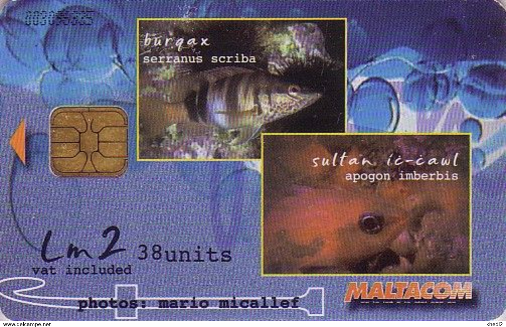 Télécarte à Puce MALTE - ANIMAL - POISSON - FISH MALTA Chip Phonecard - FISCH Telefonkarte - 124 - Malta