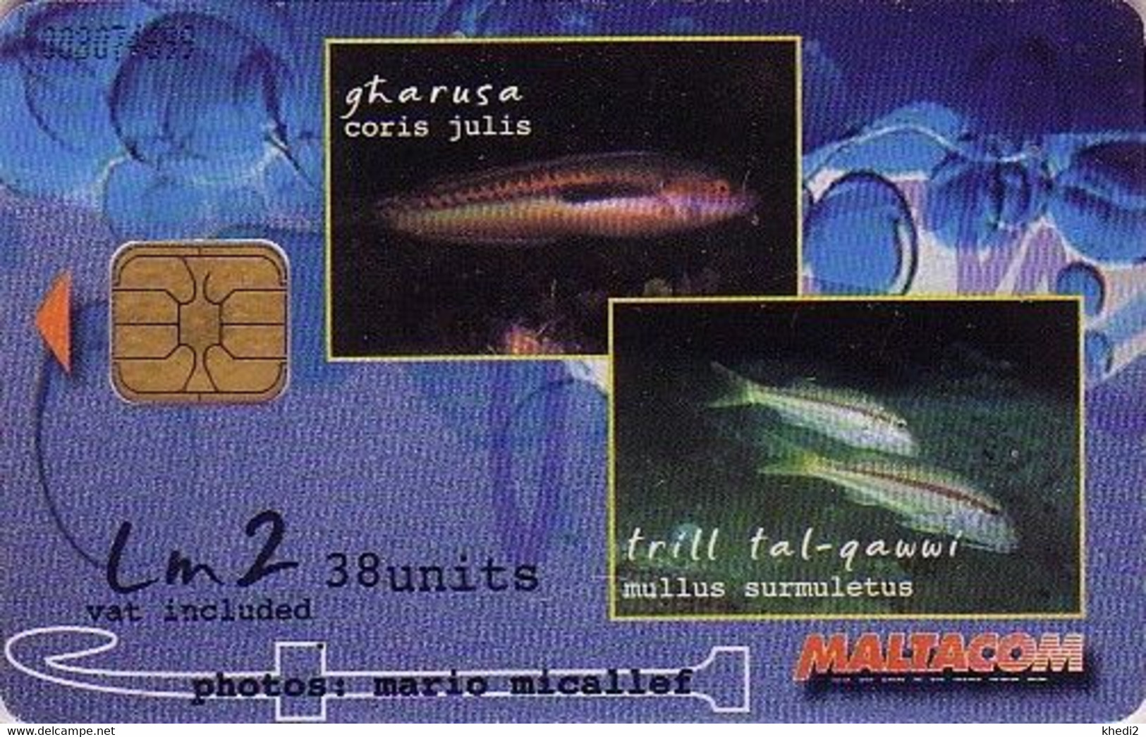 Télécarte à Puce MALTE - ANIMAL - POISSON - FISH MALTA Phonecard - FISCH Telefonkarte - 125 - Malta