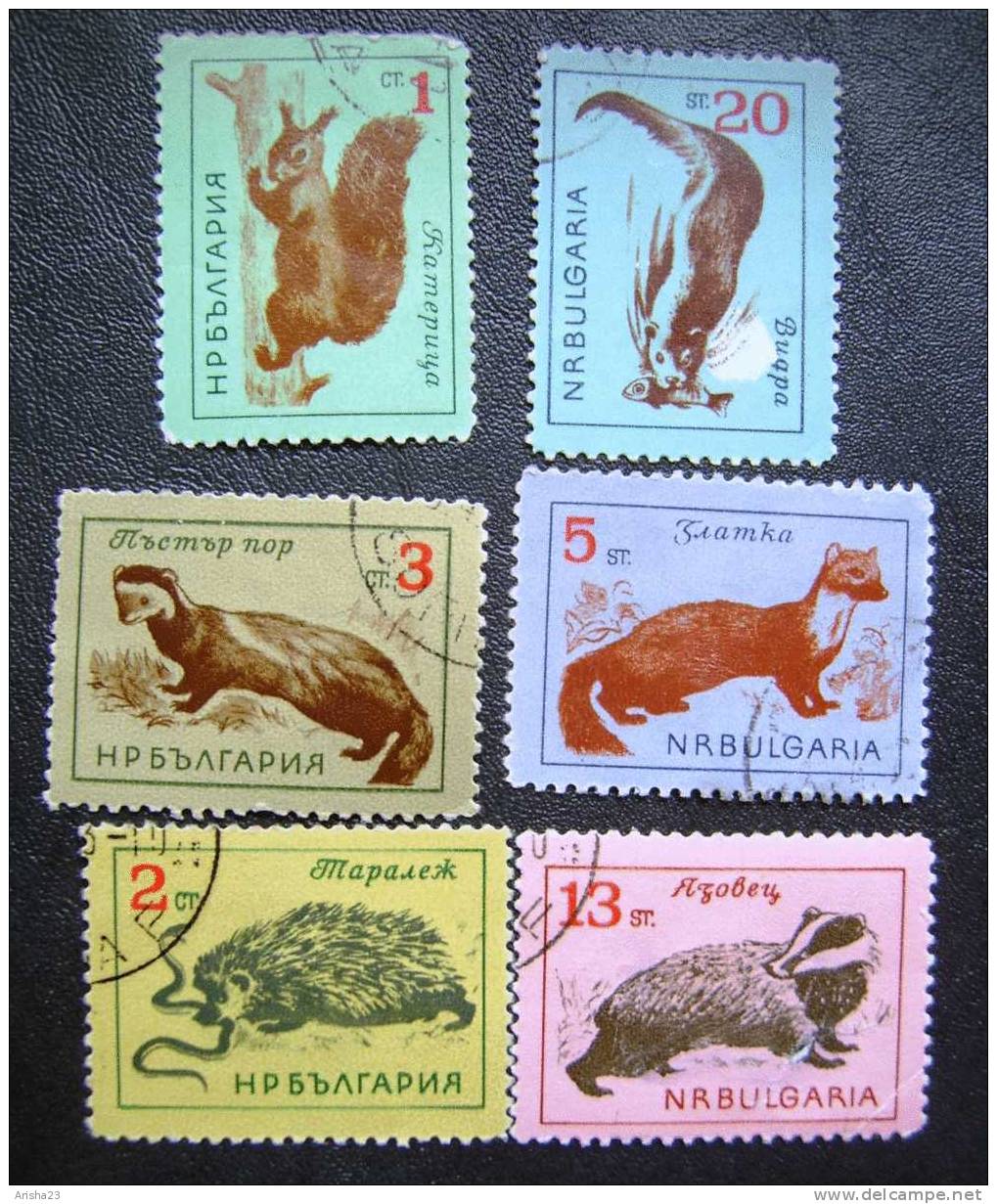 Bulgaria 1963 Complete Set Of 6 ANIMALS  - Fauna - Usati