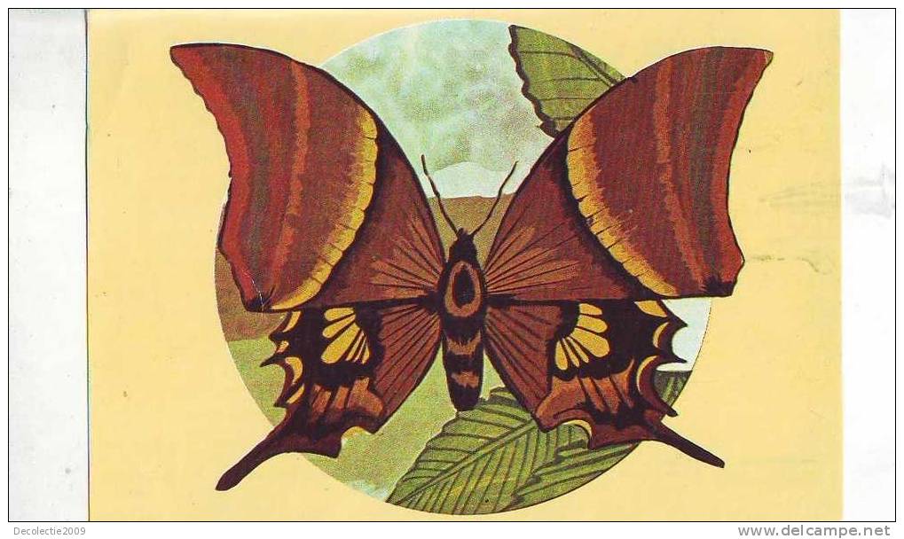 Zd2593 Animals Animaux Papillons Butterfly Teinopalpus Imperialis Not Used PPC Good Shape - Mariposas