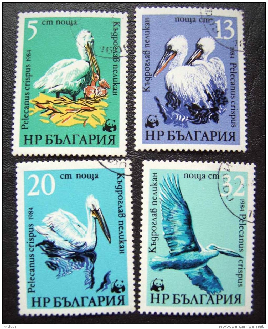 Bulgaria 1984 PELIKANE - FAUNA Animals Bird Birds - Set Of 4 - Oblitérés