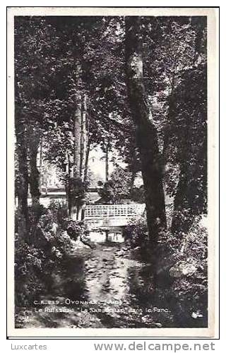 C.A.239.OYONNAX . LE RUISSEAU. "LA SARSOUILLE" DANS LE PARC. - Oyonnax