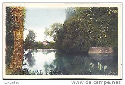 PONT-DE-VAUX. BORDS DE LA REYSSOUZE. - Pont-de-Vaux