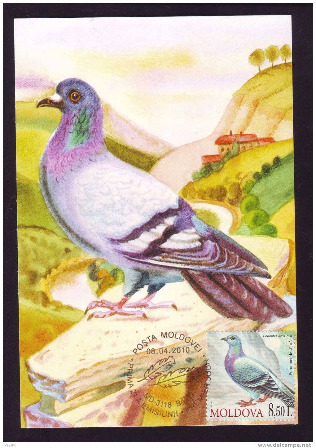 Pigeons 2010 Maxicard ,carte Maximum Obliteration FDC, Moldavie/Moldova. - Duiven En Duifachtigen