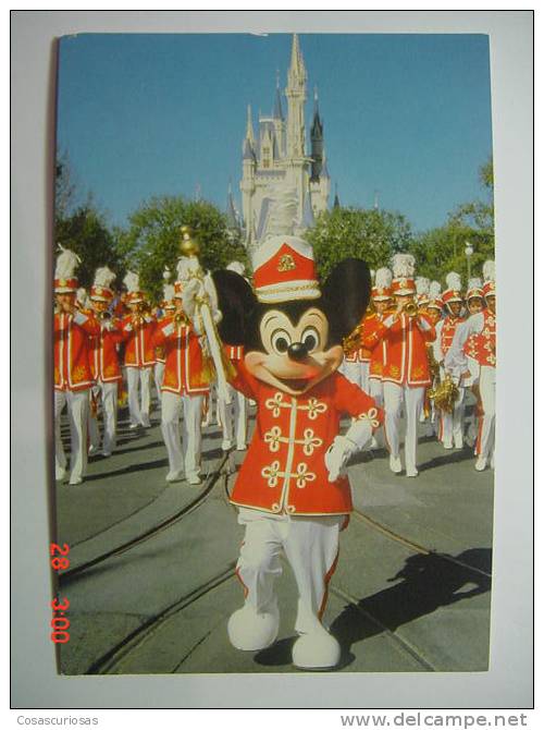 509 WALT DISNEY   DISNEY WORLD    POSTCARD     YEARS  1980  OTHERS IN MY STORE - Disneyworld