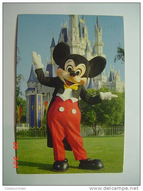 516 WALT DISNEY   DISNEY WORLD    POSTCARD     YEARS  1980  OTHERS IN MY STORE - Disneyworld