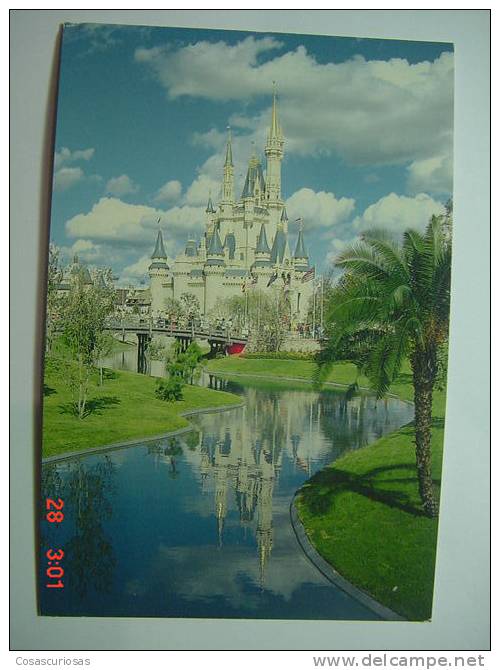 513 WALT DISNEY   DISNEY WORLD   FAIRY TALE CASTLE  POSTCARD     YEARS  1980  OTHERS IN MY STORE - Disneyworld