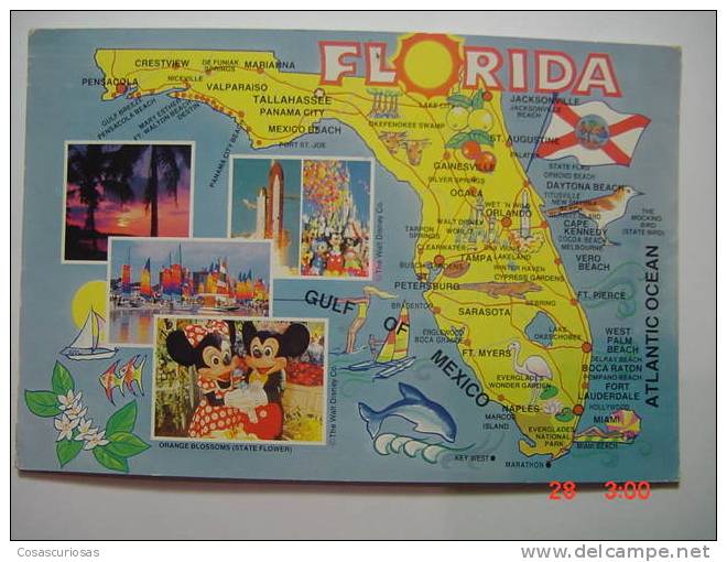 511 WALT DISNEY   DISNEY WORLD   FLORIDA  ORLANDO  POSTCARD     YEARS  1980  OTHERS IN MY STORE - Disneyworld