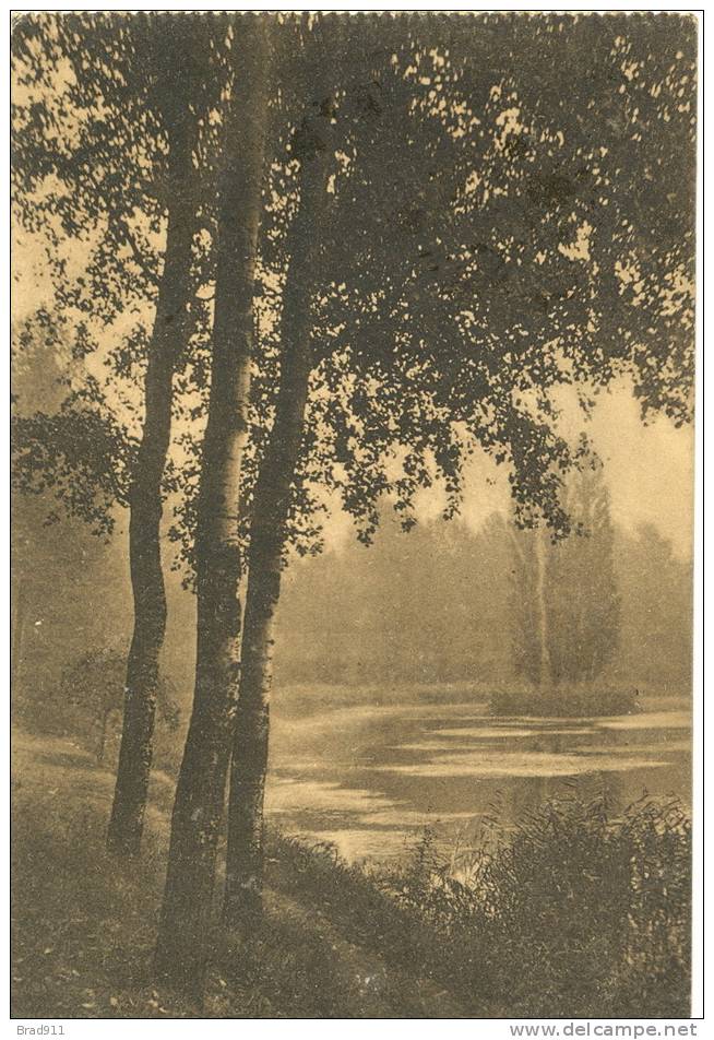 Forêt De Soignes - Zoniënwoud : Etang De Rouge Cloitre - Watermaal Bosvoorde / Boitsfort (1912) - Parks, Gärten