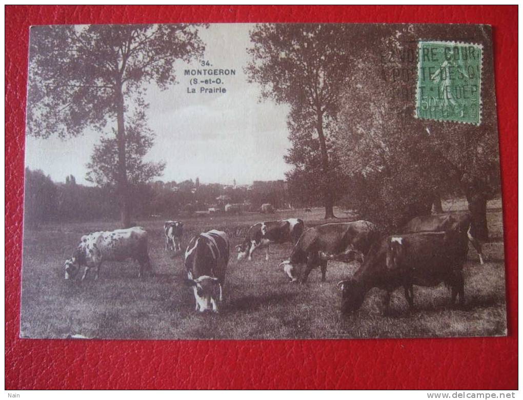 91- MONTGERON ( S Et O ) - LA PRAIRIE - JOLIE CARTE ...+ Cachet Postal.. - Montgeron