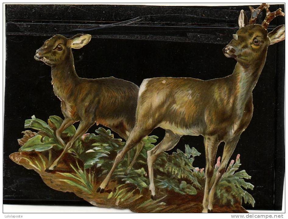 SUPERBE  Découpis Gauffré Format 14X13 Cm - Chevreuil Et Biche - Animali