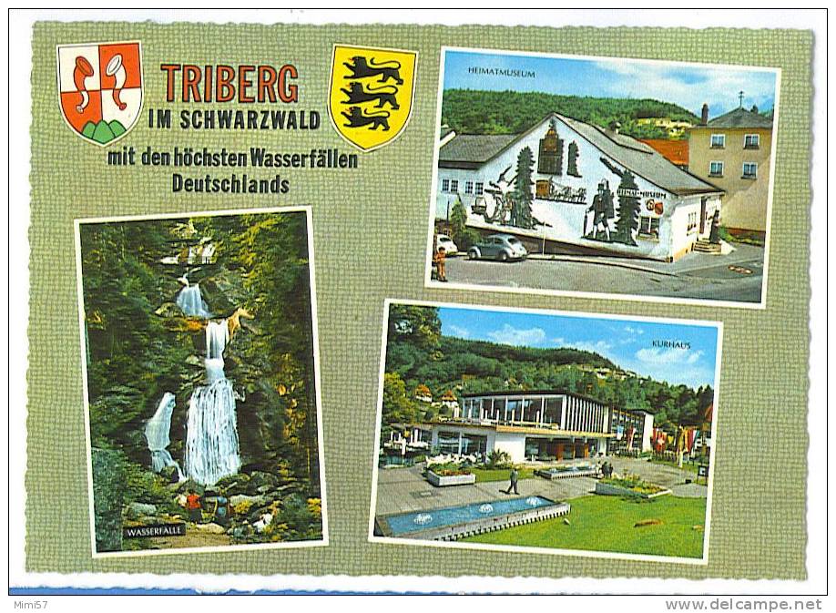 C.P.M. TRIBERG Im Schwarzald - Triberg