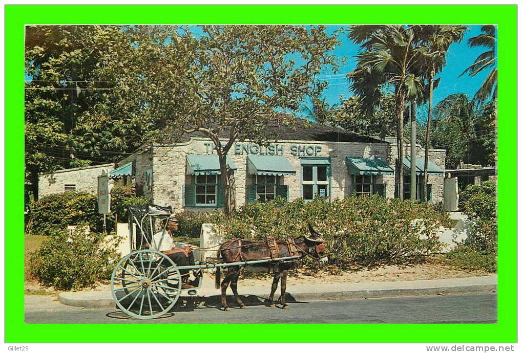ST. JAMES, BARBADOS - THE ENGLISH SHOP - DUNKEY PULLING - - Barbados (Barbuda)
