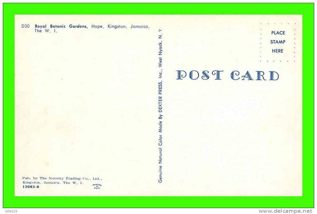 KINGSTON, JAMAIQUE - ROYAL BOTANIC GARDENS, HOPE - DEXTER PRESS INC - ANIMATED - - Jamaïque