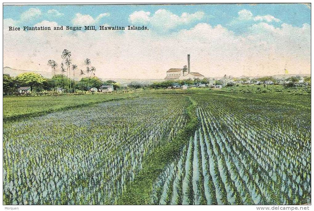 1396. HAWAI Island. Rice Plantation And Sugar Mill - Honolulu