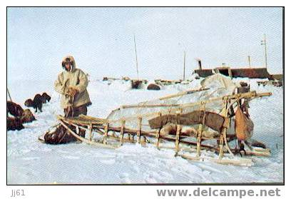 Alaska Eskimo Sled And Dogs Année 1960 - Autres & Non Classés