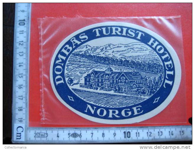 99  old Hotel labels , collection from Noorwegen - Norway - Norvège - baggage Label collection  VERY GOOD