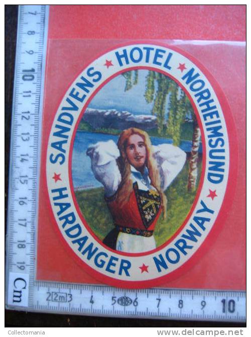 99  old Hotel labels , collection from Noorwegen - Norway - Norvège - baggage Label collection  VERY GOOD