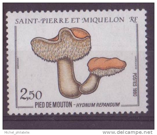 SAINT-PIERRE-ET-MIQUELON N°513** NEUF SANS CHARNIERE  FLORE CHAMPIGNON - Other & Unclassified