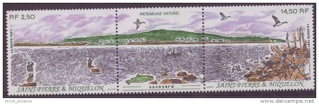 SAINT-PIERRE-ET-MIQUELON N° 549A** NEUF SANS CHARNIERE    LA POINTE DE SAVOYARD (SAINT-PIERRE) - Otros & Sin Clasificación